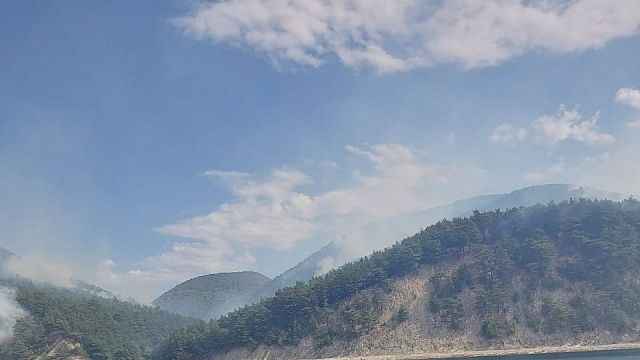 Спасатели смогли локализовать пожар в лесничестве Геленджика 