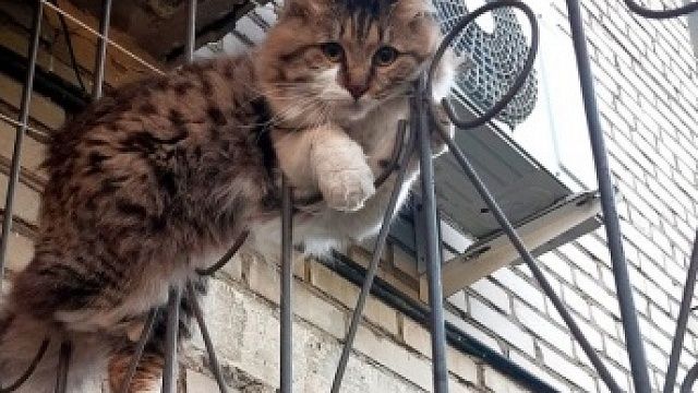 Фото: МЧС ЕАО