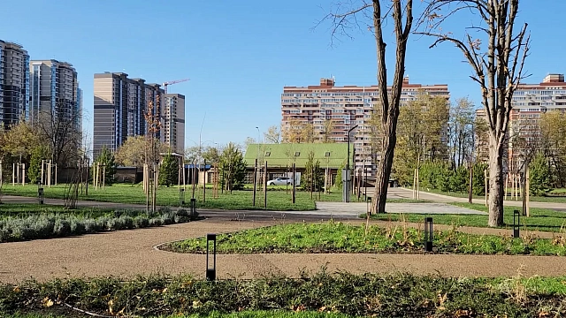 Вместо засохших деревьев и кустов на Николаевском бульваре высадят новые