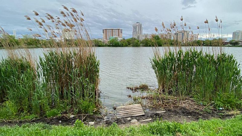 На Дмитриевской дамбе нашли труп мужчины в плавках