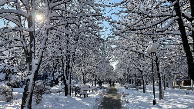 В Краснодаре с утра 19 января будет морозно: водителей и пешеходов предупреждают о гололедице 