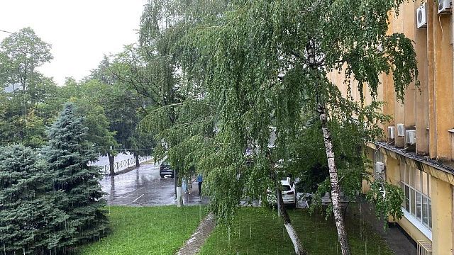 Пятница в Краснодаре будет дождливой с небольшим понижением температуры Фото: Телеканал «Краснодар»