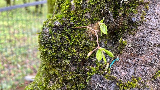Фото: телеканал «Краснодар» 