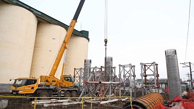 Фото: Андрей Зубов/администрация Краснодара
