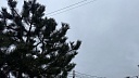 Вертолёты санавиации эвакуировали пострадавших в массовом ДТП под Волгоградом 
