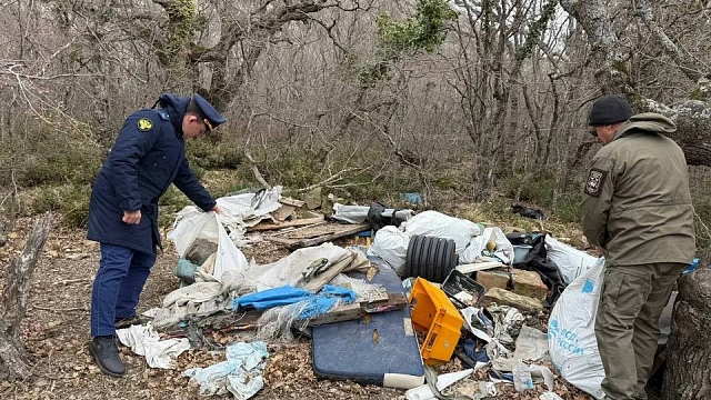 Фото: t.me/proc_23