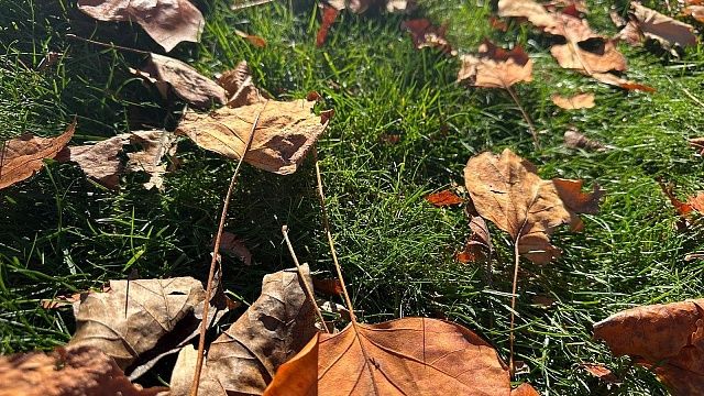 Фото: телеканал «Краснодар»