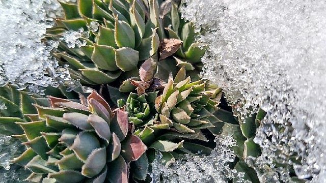 Фото: телеканал «Краснодар»