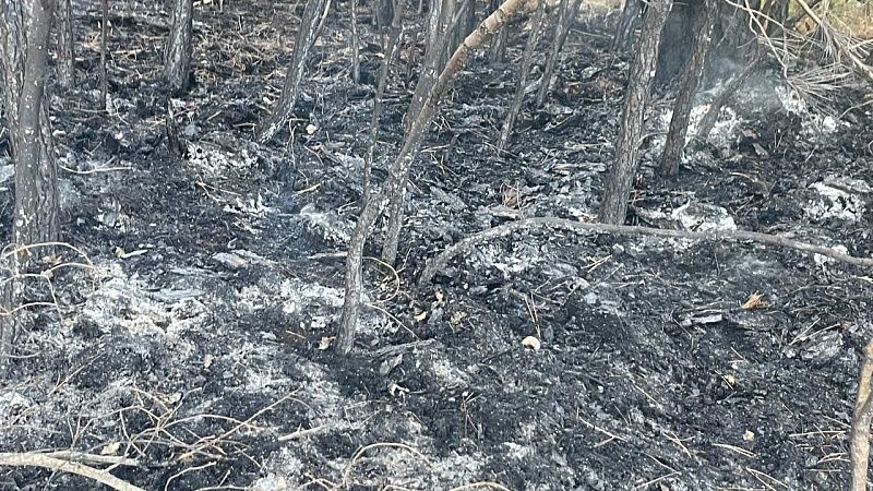 Лесной пожар на площади 2,2 га потушили в районе «Голубой бездны» в Геленджике