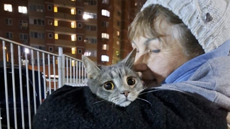 После пяти дней поисков к 93-летней хозяйке вернулся кот Мурчик в Балашихе