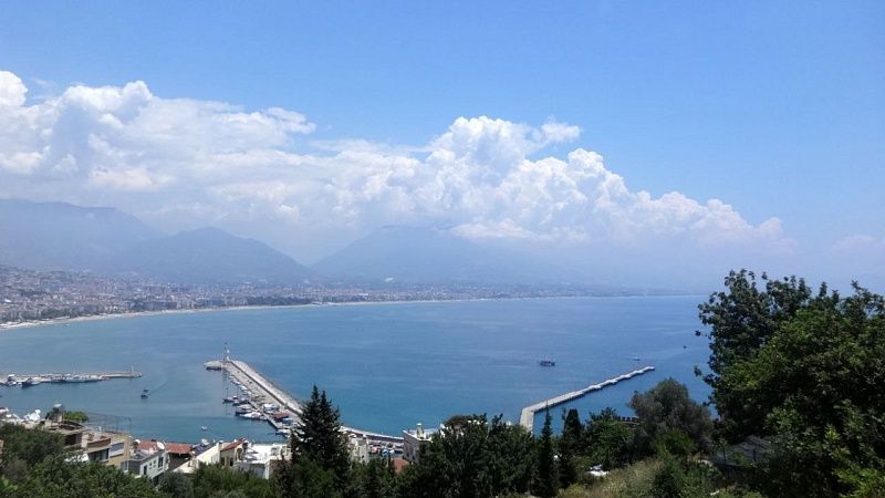 Комоедов пообещал Украине жесткий ответ за атаку на четвертый танкер 