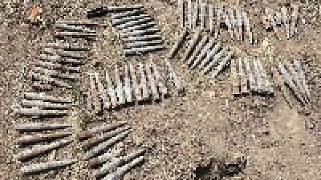 Фото: ГУ Росгвардии по Краснодарскому краю