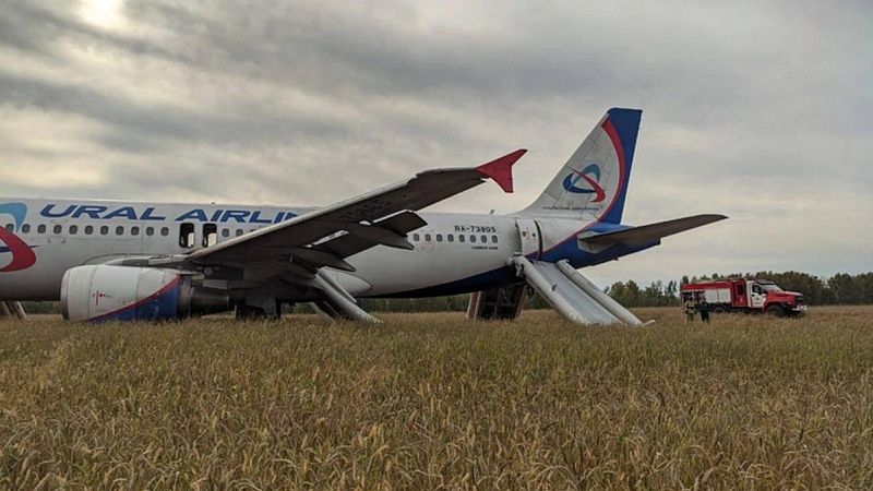 Севший в поле самолет Сочи-Омск начали распиливать на запчасти