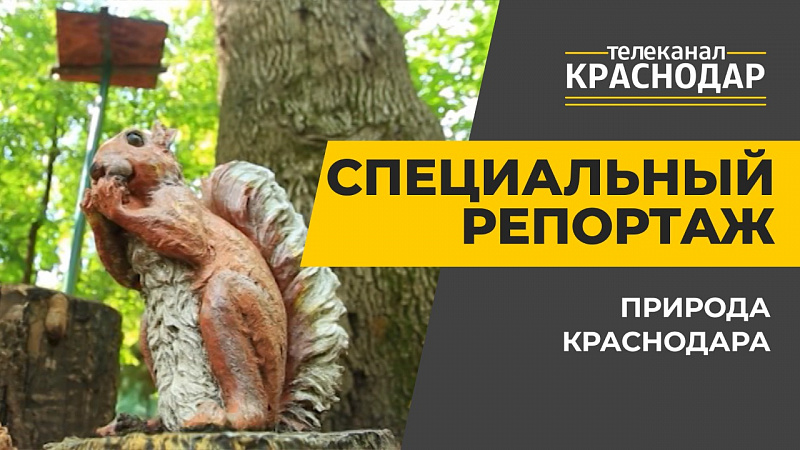 Природа Краснодара