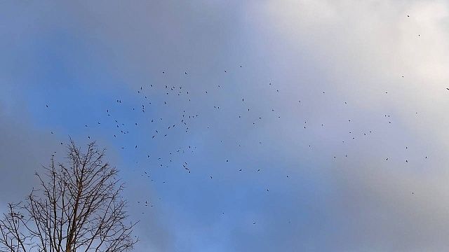 Фото: телеканал «Краснодар»