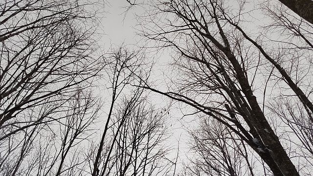 Фото: телеканал «Краснодар»