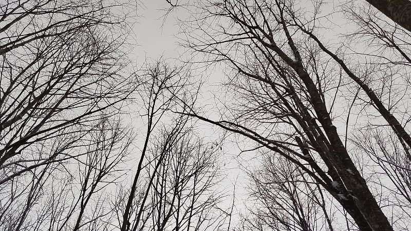 Обломки дронов упали по шести адресам в Славянске-на-Кубани