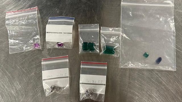 Иностранцев с драгоценными камнями на 15 млн рублей задержали в Домодедово