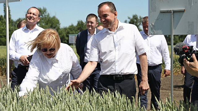 Губернатор поручил ввести новые стандарты сохранения плодородия почвы. Фото: пресс-служба администрации Краснодарского края