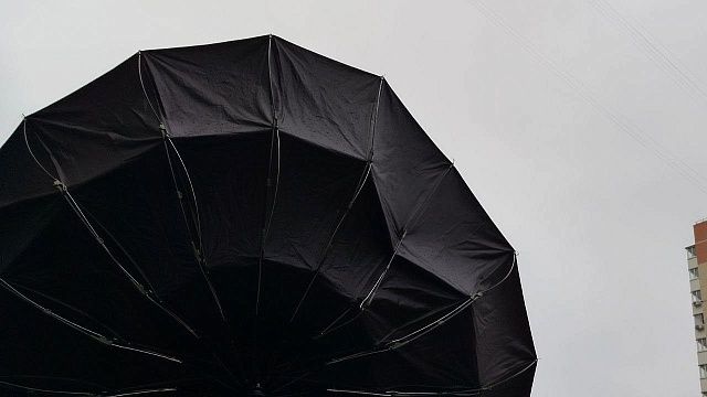 Фото: телеканал «Краснодар»