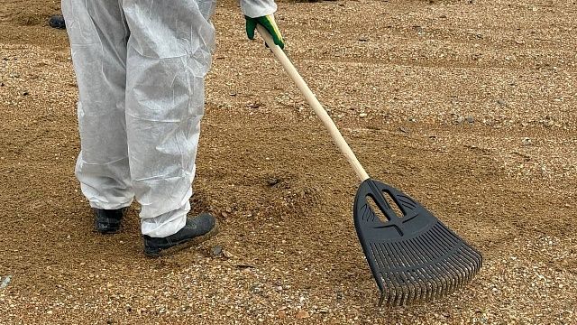 Фото: телеканал «Краснодар»