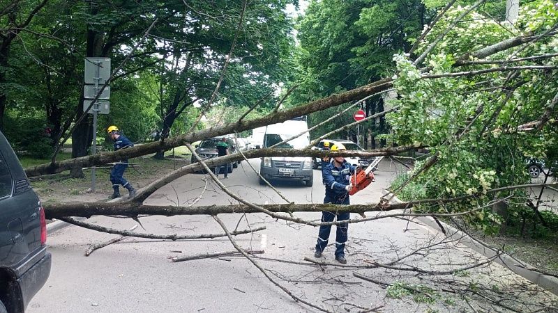 Почти сотню обращений горожан отработали за неделю в Службе спасения Краснодара 