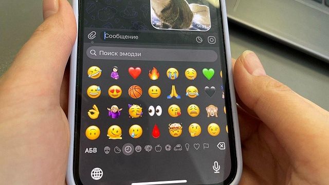 Фото: телеканал «Краснодар»