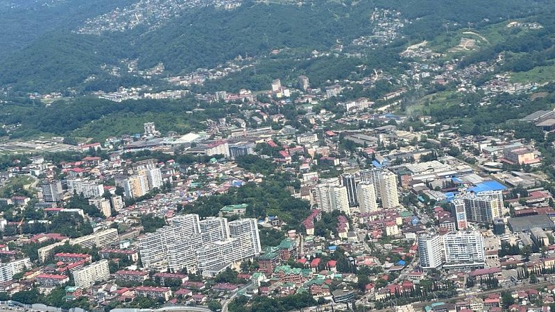 В топ направлений для отдыха с питомцами вошел Сочи