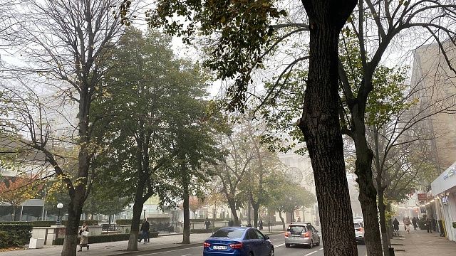 Фото: телеканал «Краснодар»