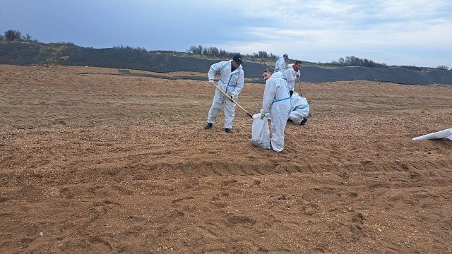 Новые выбросы мазута обнаружили на трех пляжах Анапы 25 апреля
