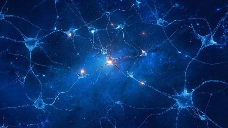 Нейробиологи объяснили, почему мозг стирает воспоминания о раннем детстве