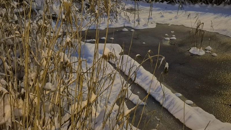 Спасатели из Москвы приступили к поиску пропавших на Волге детей в Ульяновске