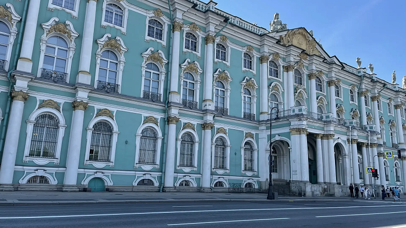 В цирк Чинизелли «перешел на работу» эрмитажный кот в Петербурге