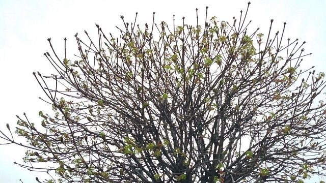 Фото: телеканал «Краснодар»