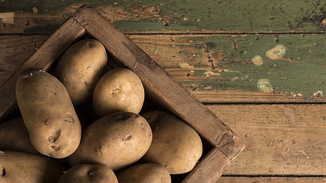Секреты богатого урожая: чем нужно удобрять картошку и как ухаживать за клубникой