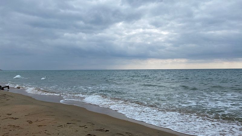 Мужчина наткнулся на мину «Лепесток» на Сахалине