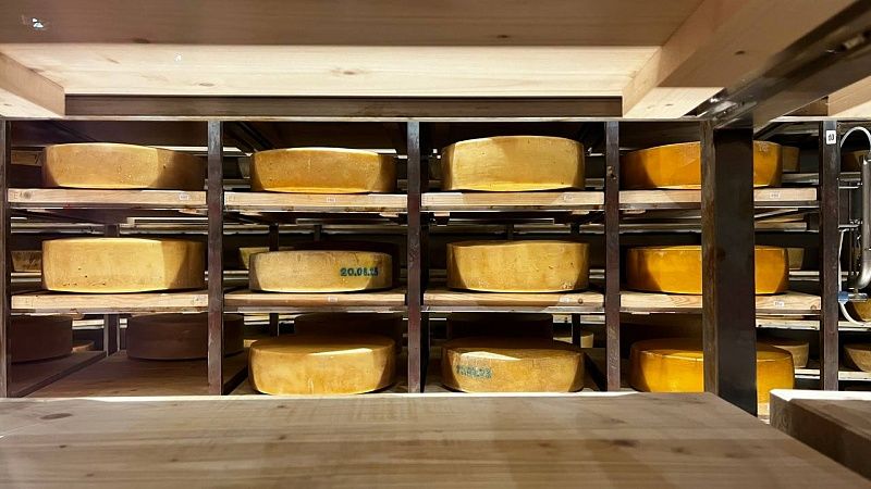 Производство сыров выросло на 7% в этом году на Кубани