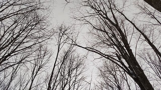 Фото: телеканал «Краснодар»