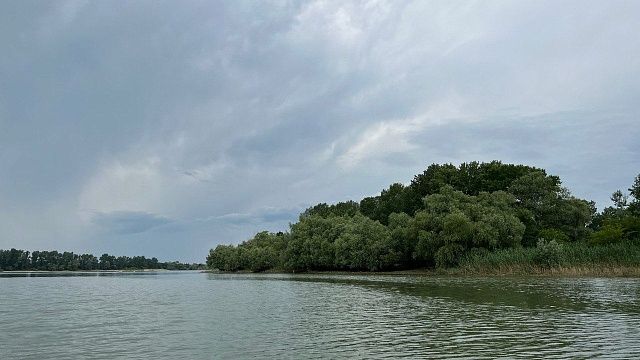 Фото: архив телеканала «Краснодар»