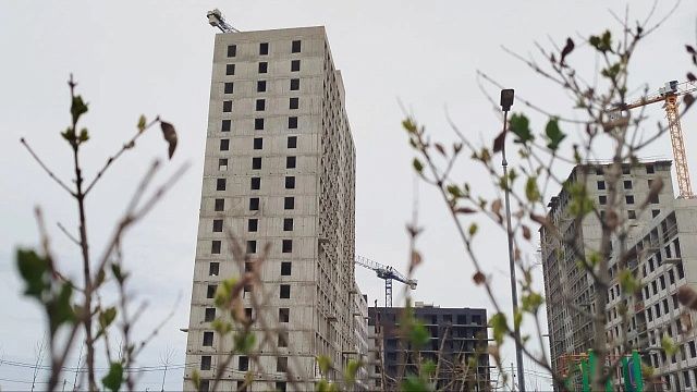 Фото: телеканал «Краснодар»