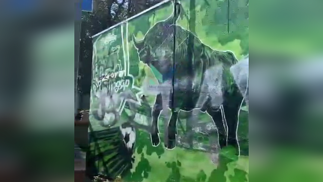 Вандалы разрисовали новое граффити в честь ФК «Краснодар» Фото: МЦУ Краснодар