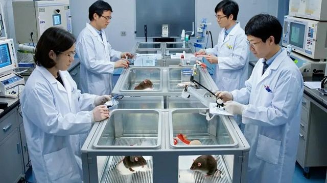 Уничтожать рак теплом научились ученые из Японии