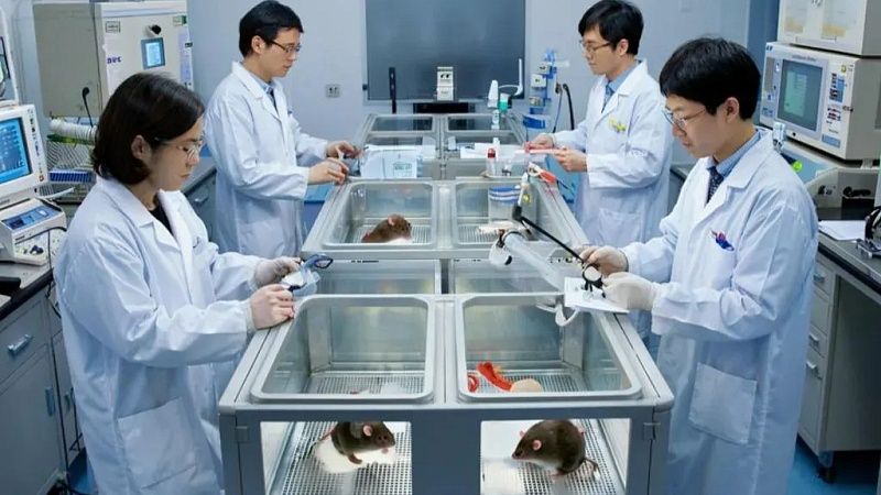 Уничтожать рак теплом научились ученые из Японии