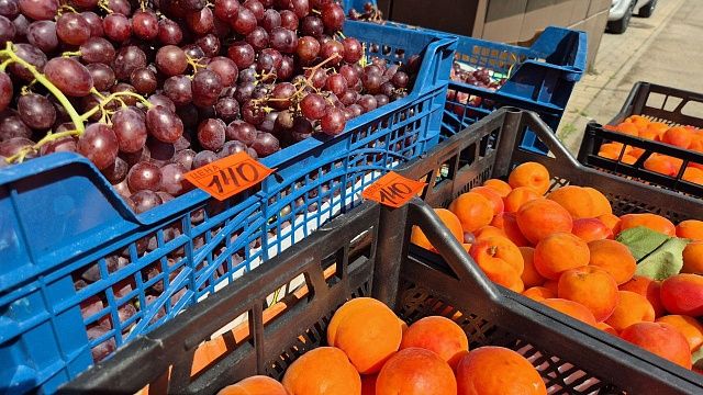 Фото: телеканал «Краснодар»