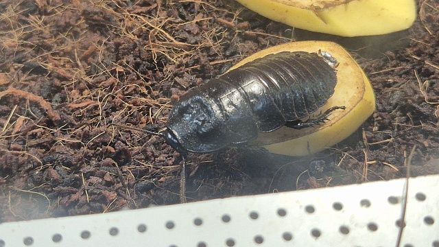 Фото: телеканал «Краснодар»