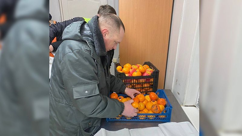 В партиях цитрусовых весом почти 90 тонн выявили плодовую мушку в Новороссийске