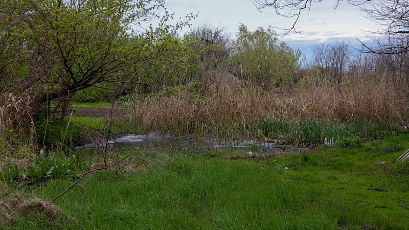Ассенизаторские машины проверят после жалоб на сброс нечистот в реку в Армавире 