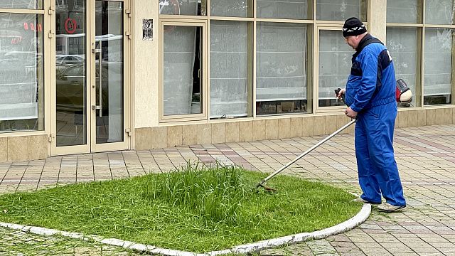 Более 2 тысяч гектаров сорняка выкосили в Краснодаре