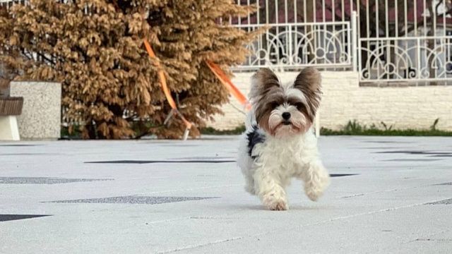 Фото: телеканал «Краснодар»