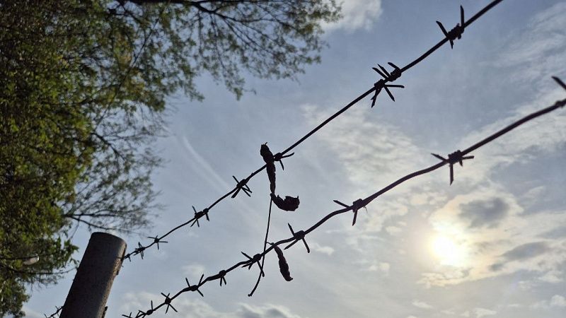 Арестованный велосипедист объяснил цель незаконного пересечения границы РФ